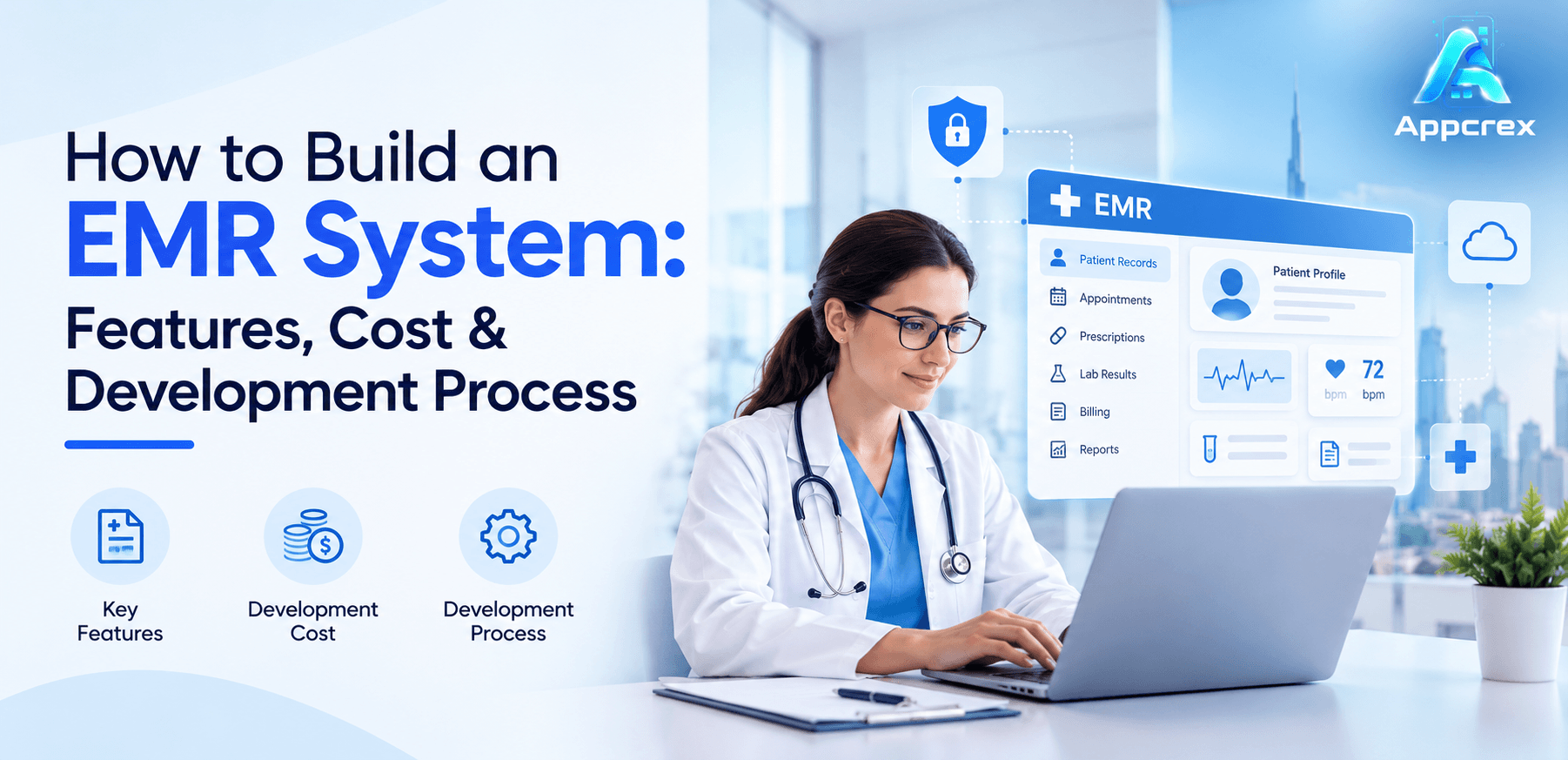 EMR system development