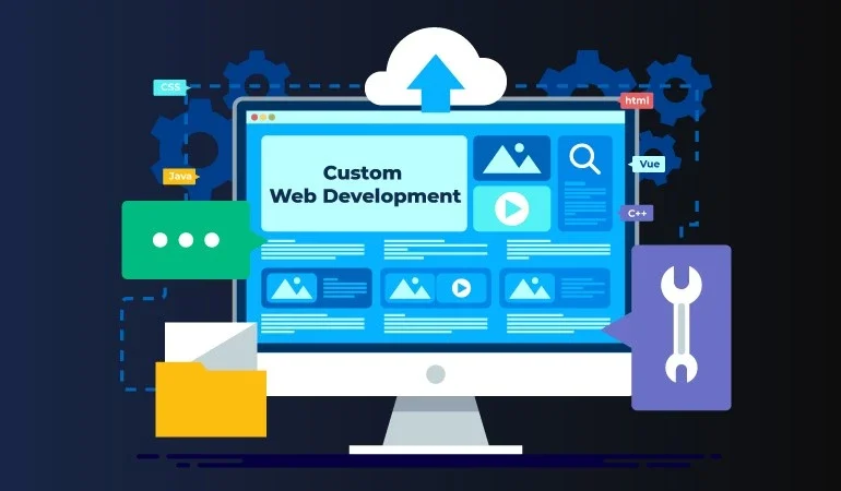 Custom-Web-Development-101 (1)